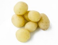 Batata Miuda Saca 20 kg